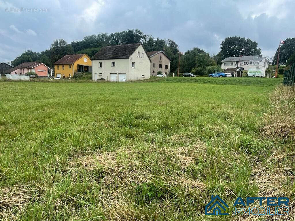 Terrain à SAINT-GORGON