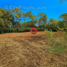 Terrain à BAGNOLS-SUR-CEZE