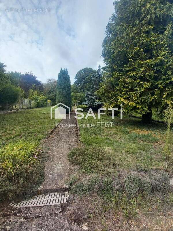 Photo 6 - Maison à LOCHES