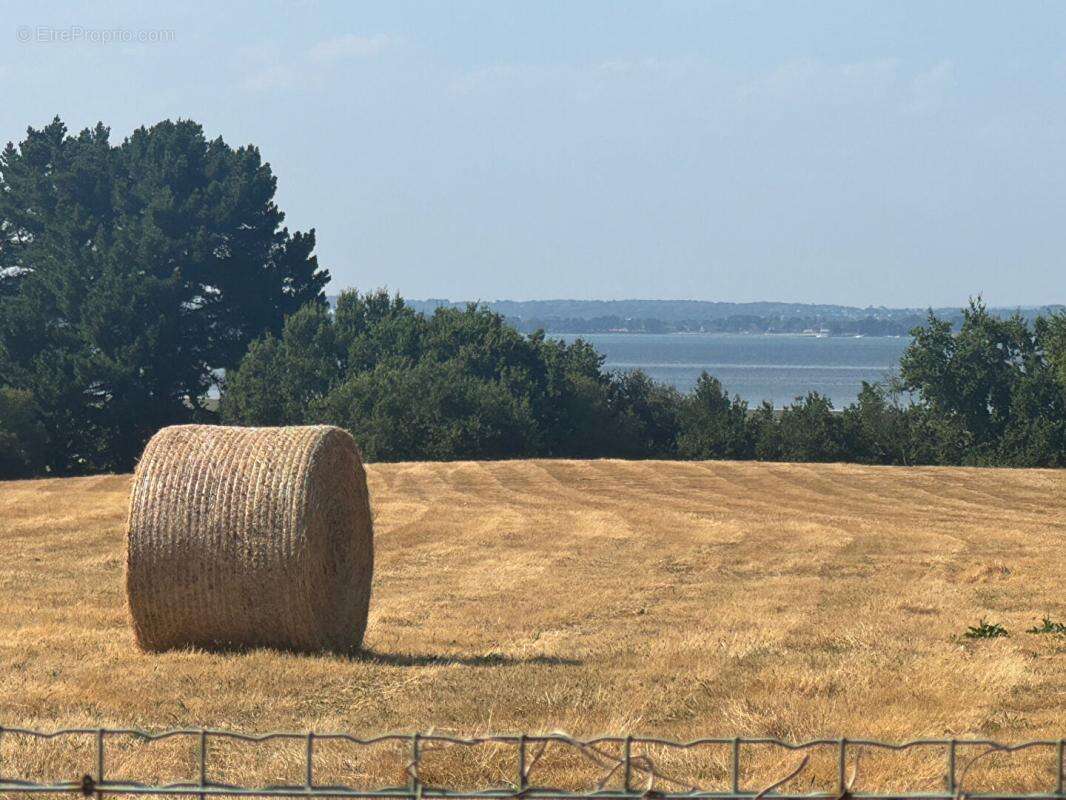 Maison de charme avec vue sur le Golfe du Morbihan - SARZEAU - photo 3