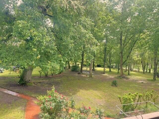 Maison 170 m² à Lerm-Et-Musset  - photo 2