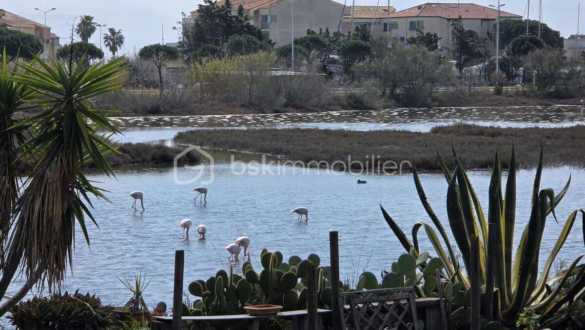 Maison à PALAVAS-LES-FLOTS