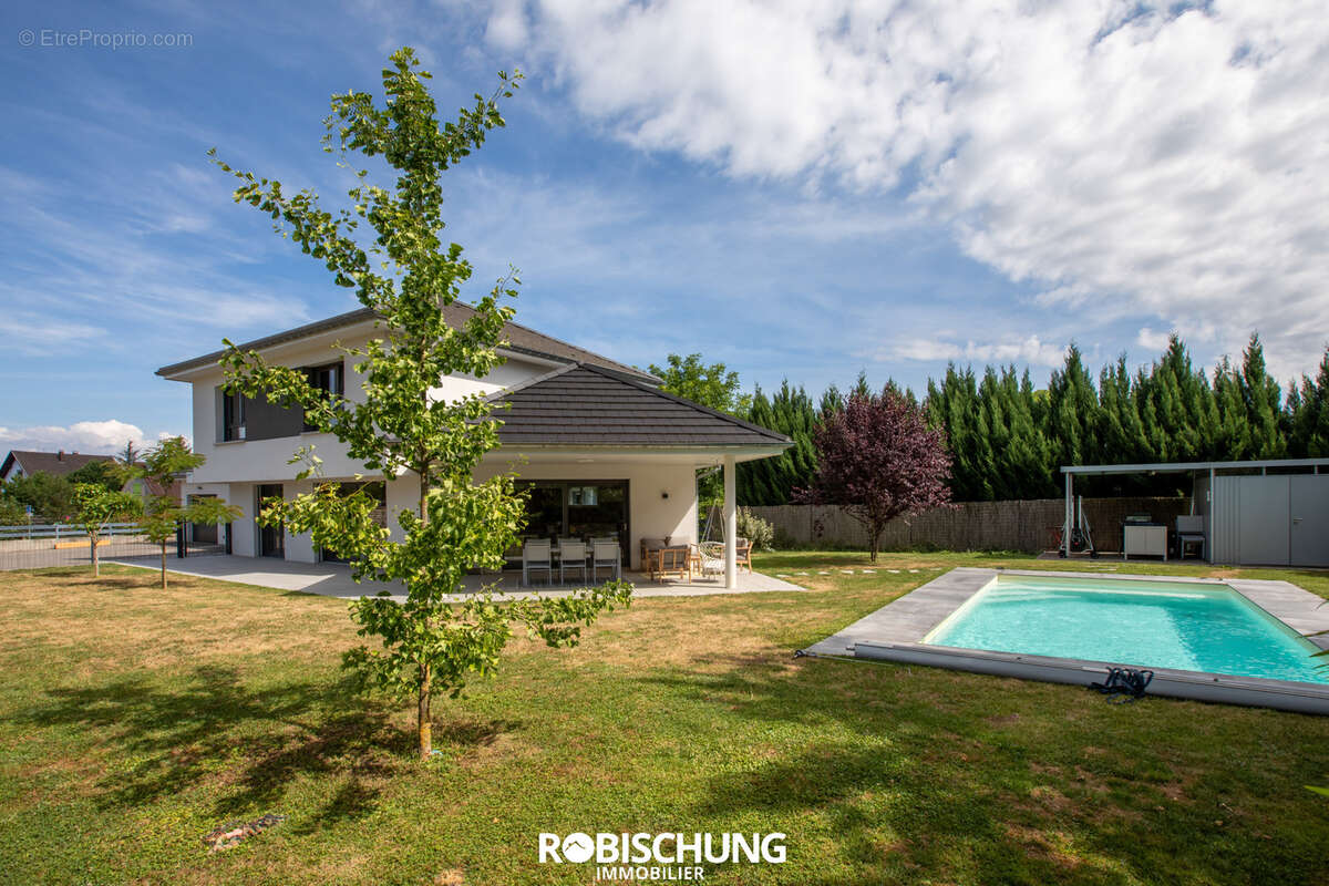 CARSPACH : Maison avec piscine rare sur le marché - photo 15