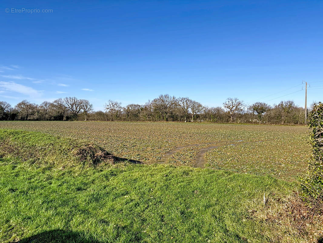 Terrain à LITHAIRE