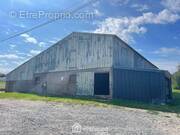 Hangar agricole de 450 m²... - Maison à SOULAINES-SUR-AUBANCE