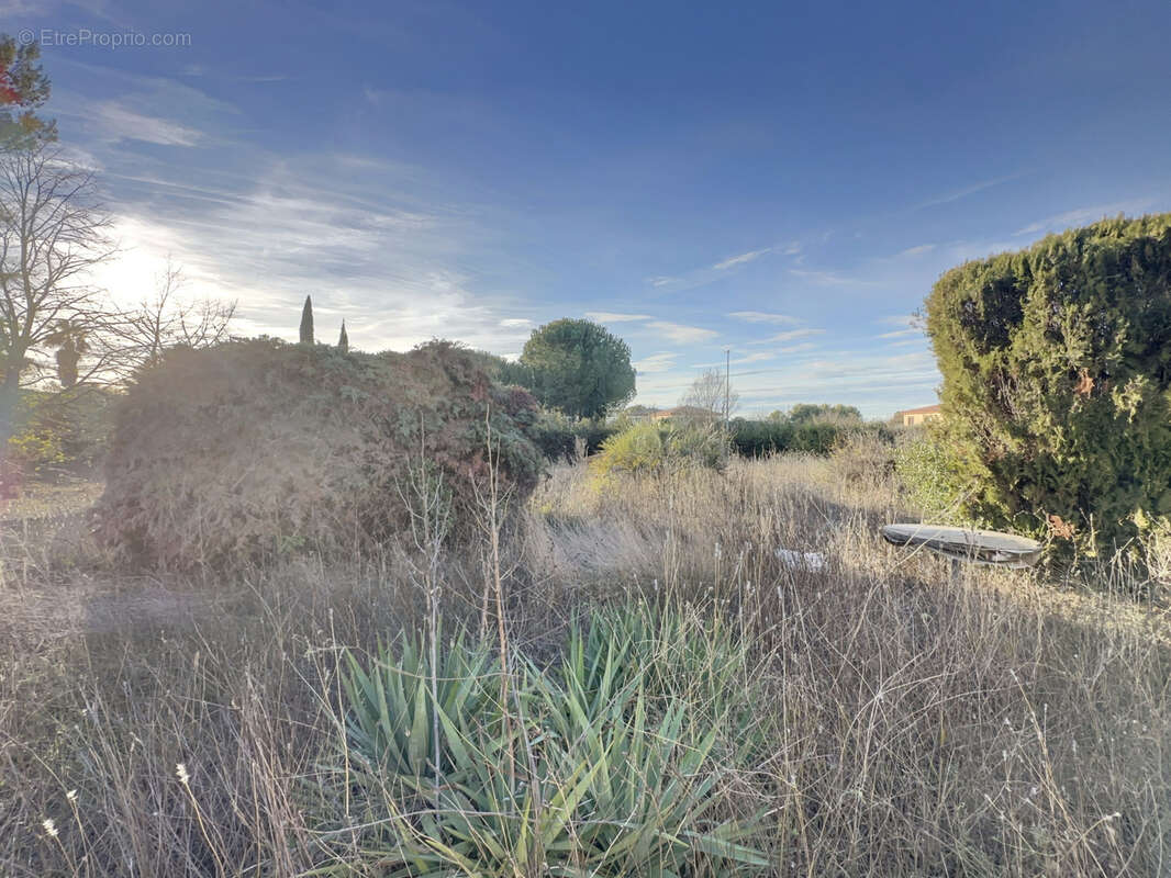 Terrain à SAINT-JEAN-DE-VEDAS