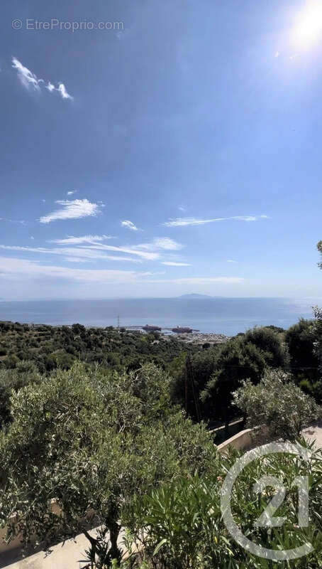 Appartement à SAN-MARTINO-DI-LOTA