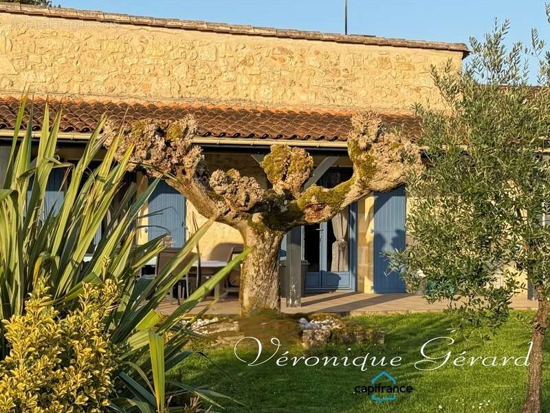 Maison de 134 m² de plain-pied, en pierre, sur plus de 5880 m² - photo 24