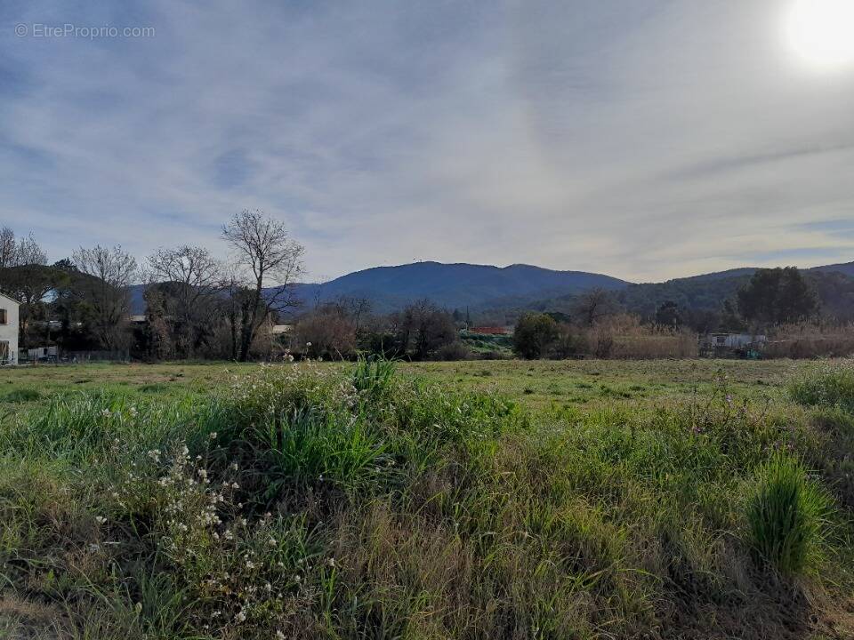 Terrain à PIGNANS