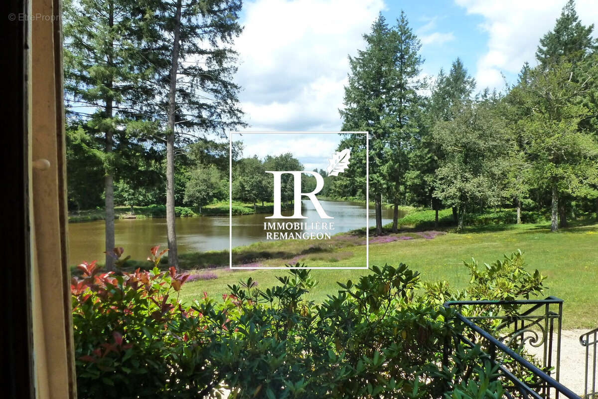 Maison 330 m² à Lamotte-Beuvron  - photo 2
