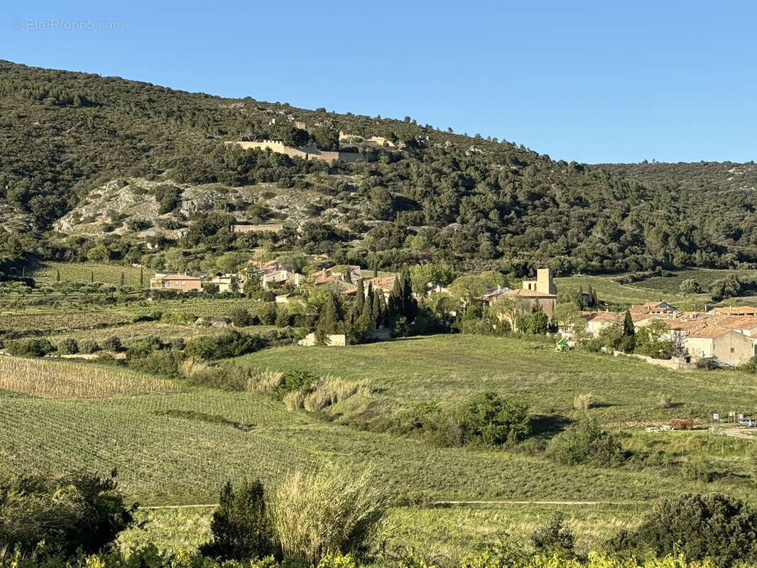 Terrain à MONTPEYROUX