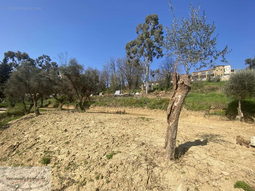 Terrain à BERRE-LES-ALPES