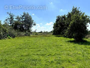 Terrain à FLINES-LES-MORTAGNE