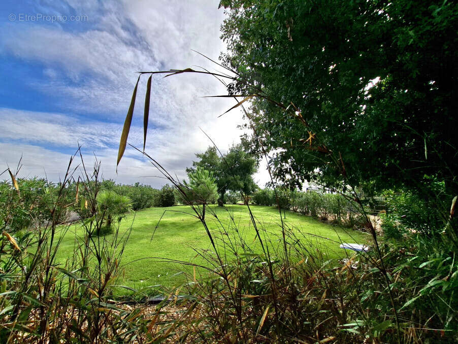 Maison à L&#039;ISLE-EN-DODON