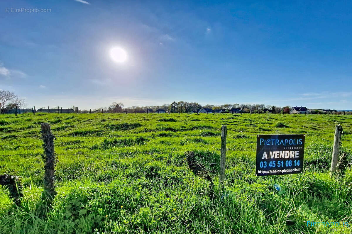 Terrain à SAINT-REMY