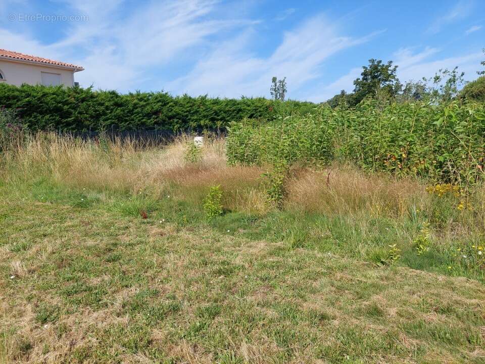 Terrain à LAPEYROUSE-FOSSAT