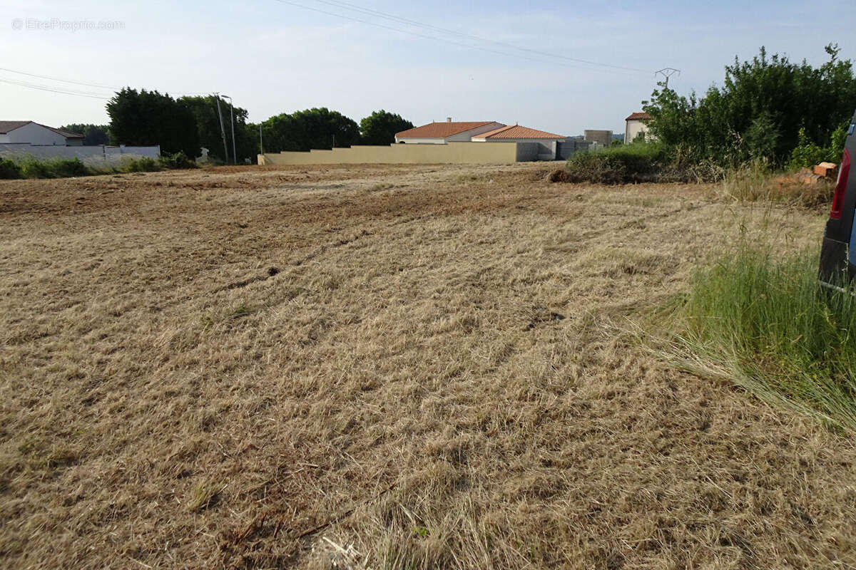 Terrain à TONNAY-CHARENTE
