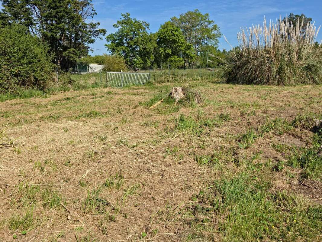 Photo 6 - Terrain à LE TOUR-DU-PARC