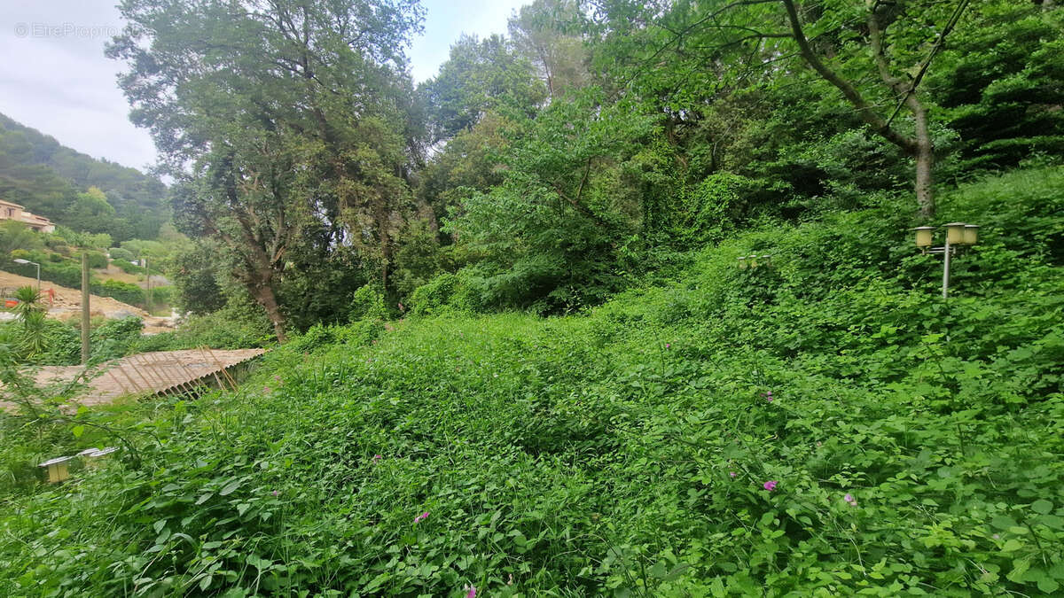 Terrain à VALLAURIS
