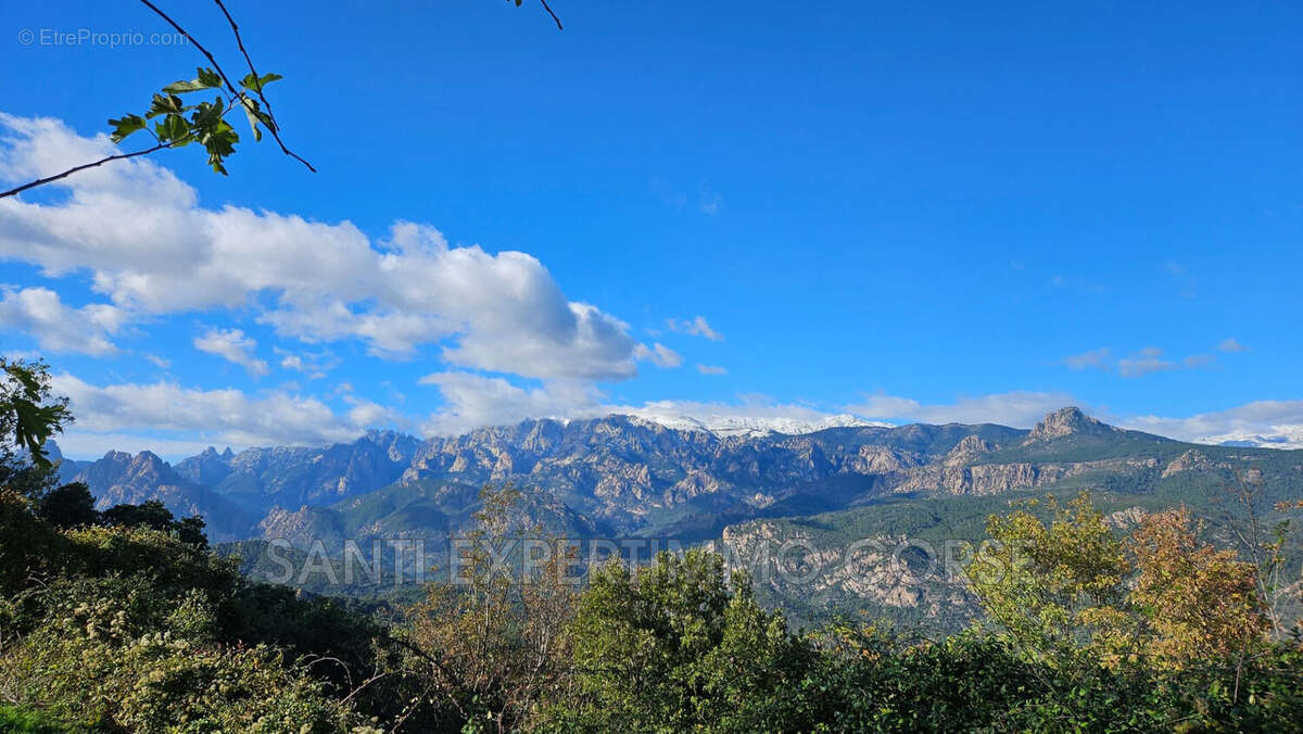 Terrain à SARI-SOLENZARA