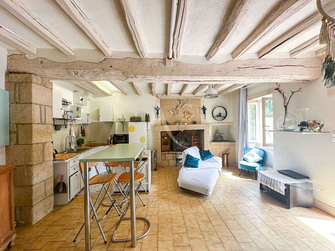 Maison semi-troglodytique de charme à Rochemenier (49700) - photo 2