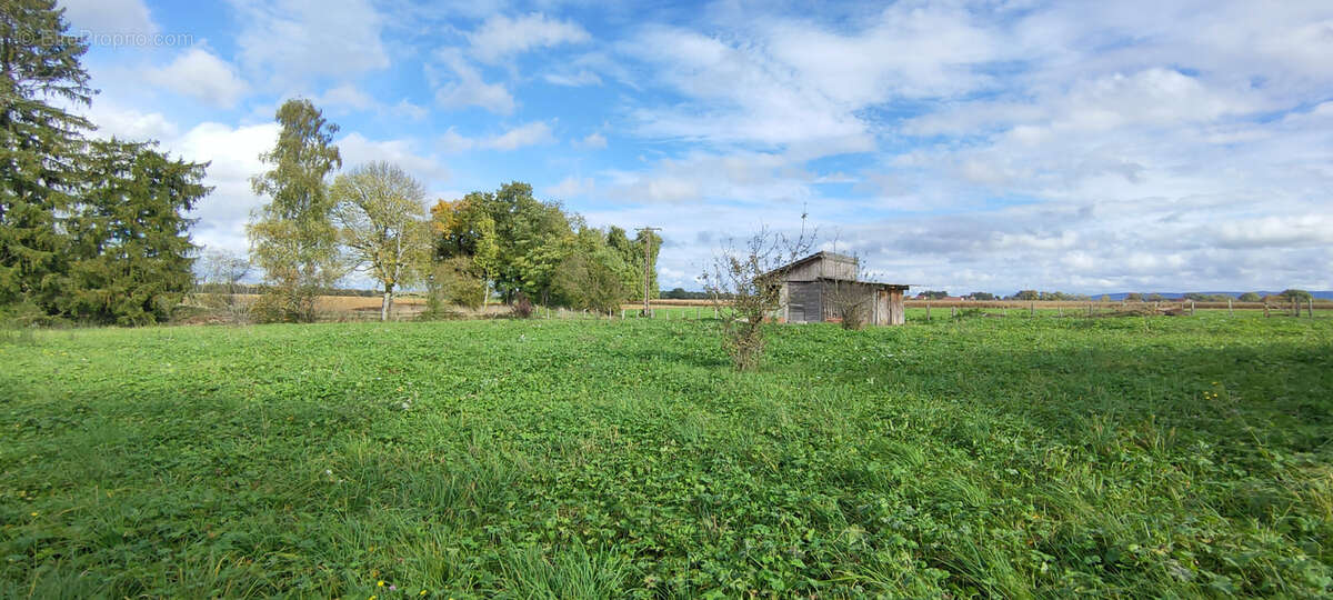 Terrain à VILLERS-LES-BOIS