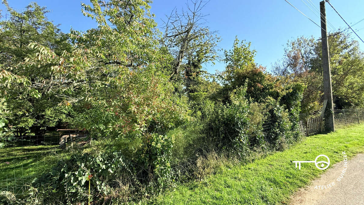 Terrain à OUZOUER-LE-MARCHE