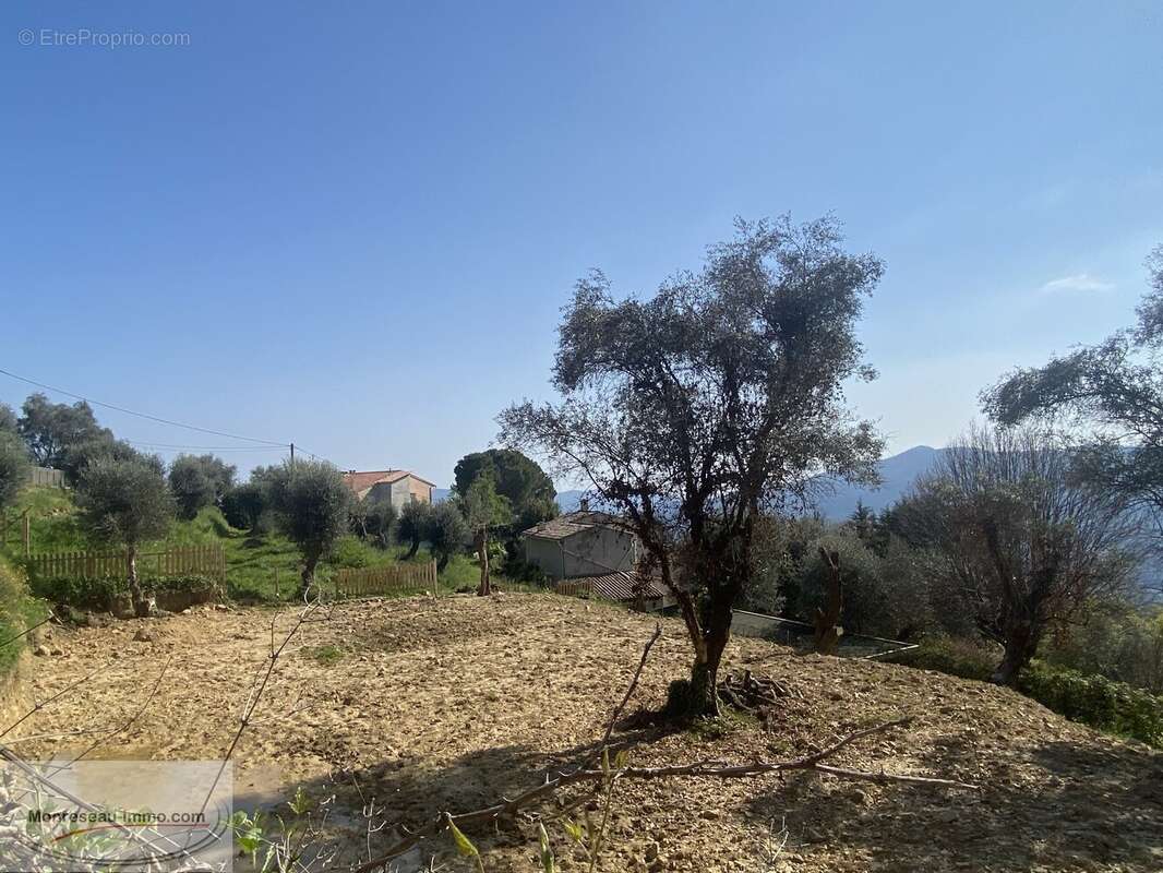 Terrain à BERRE-LES-ALPES