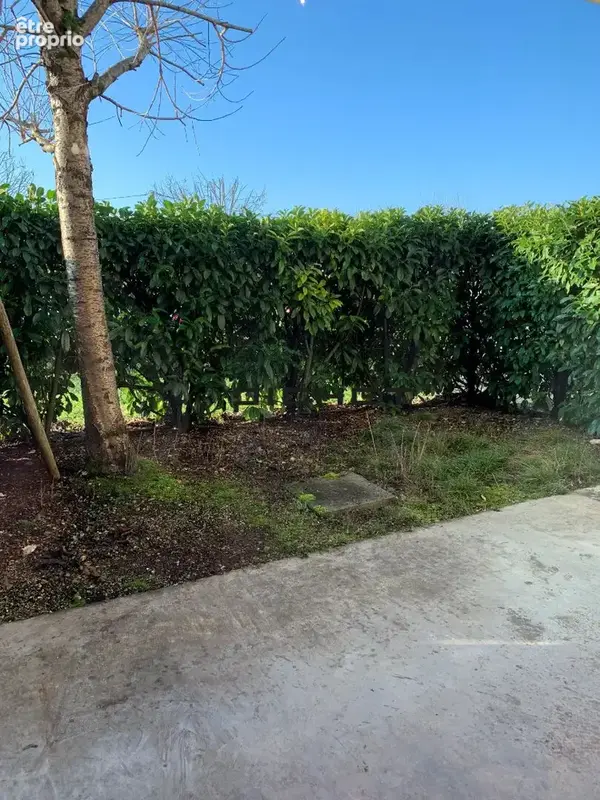 Appartement 2 pièces avec jardin et parking - photo 2