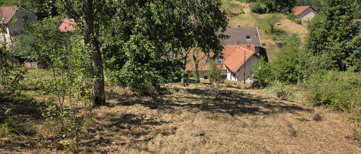 Rothau, grande maison individuelle avec logement indépendant, 12.76 ares. - photo 5