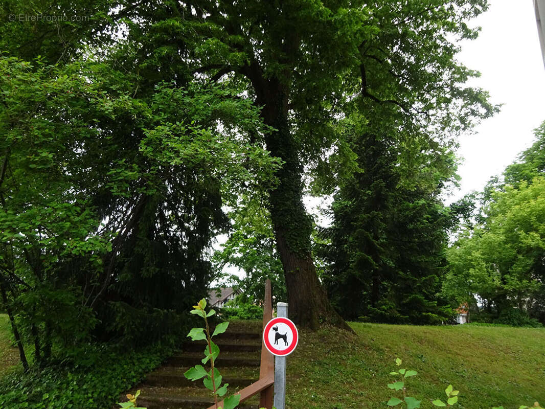 Appartement à RIEDISHEIM