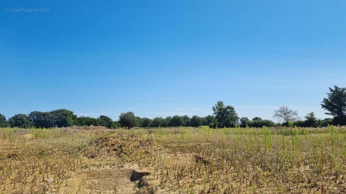 Terrain 601 m² à Savenes  - photo 3
