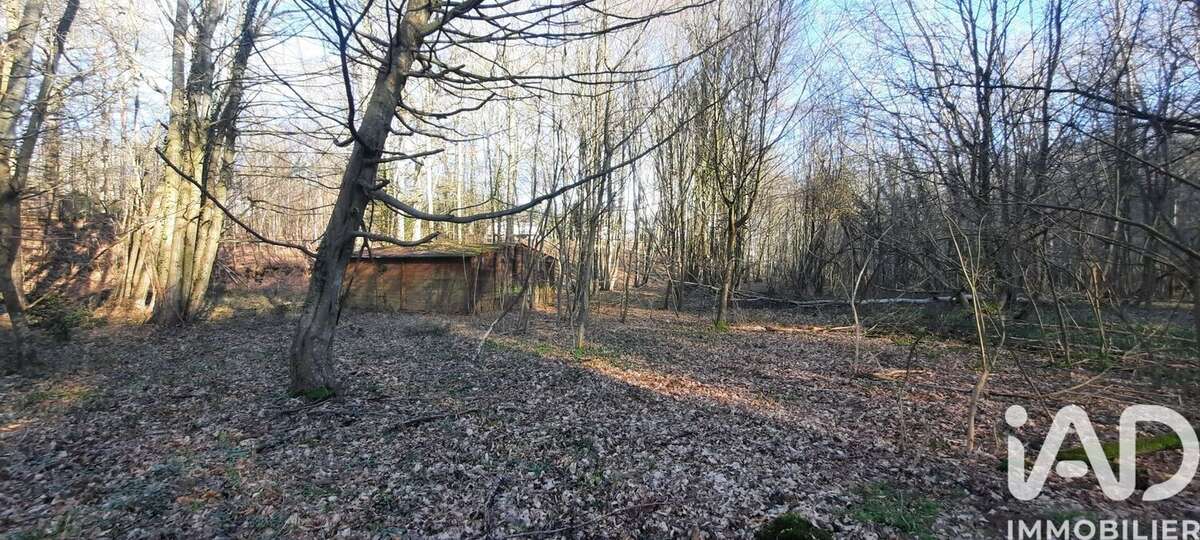 Photo 4 - Terrain à BUEIL
