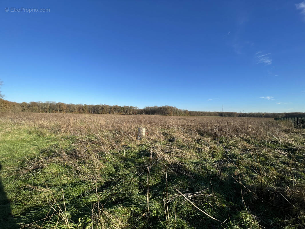 Terrain à REUILLY