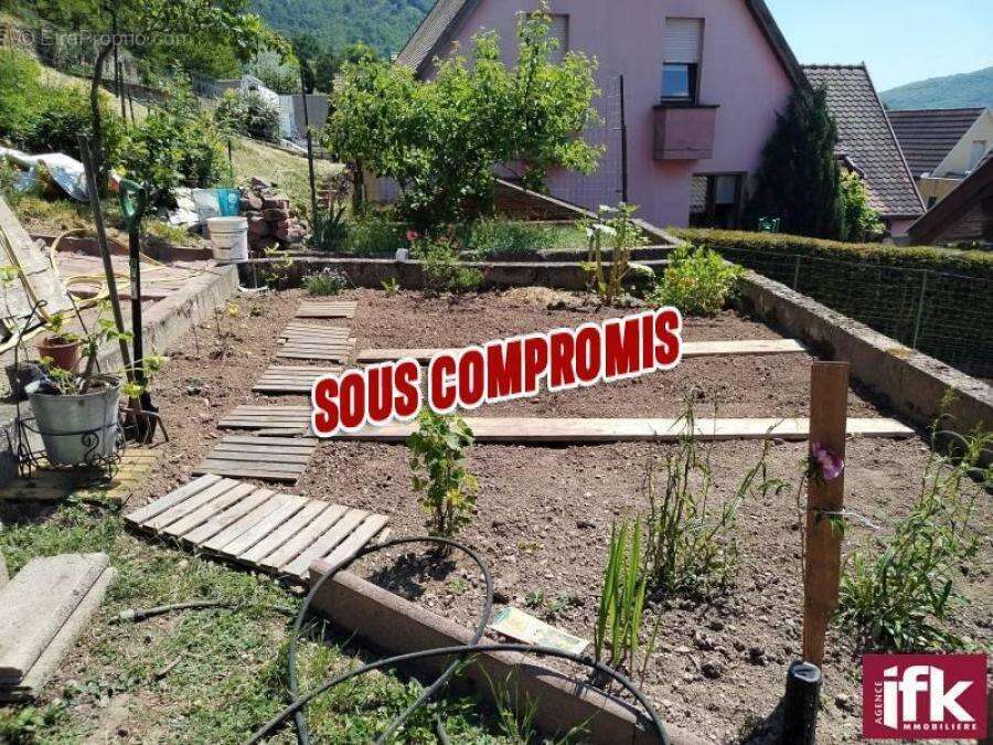 Kayserberg maison 4 chambres sur terrain de plus de 8 ares - photo 3
