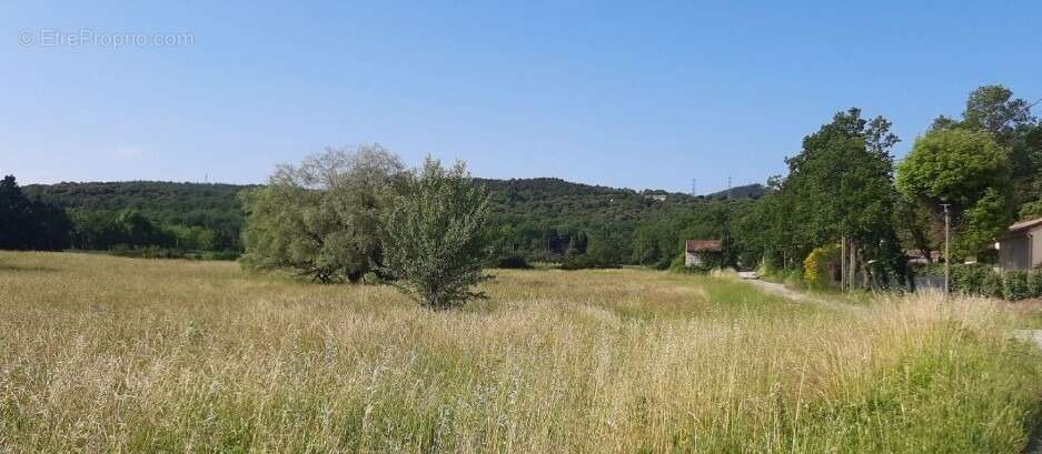 Terrain à MALATAVERNE