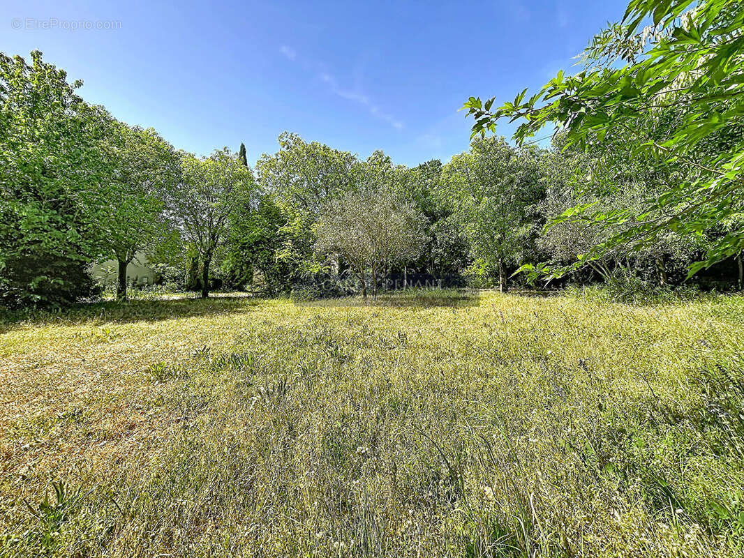 Terrain à LE PONTET