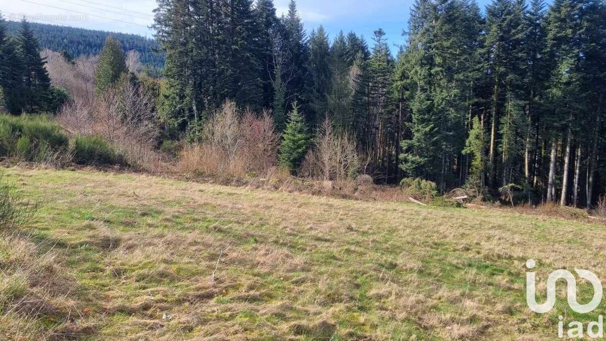 Photo 2 - Terrain à ANOULD