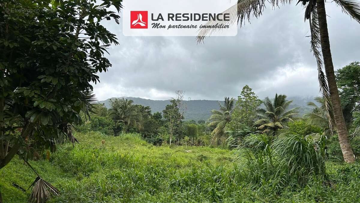 Terrain 707 m² à Le Morne-Rouge  - photo 8