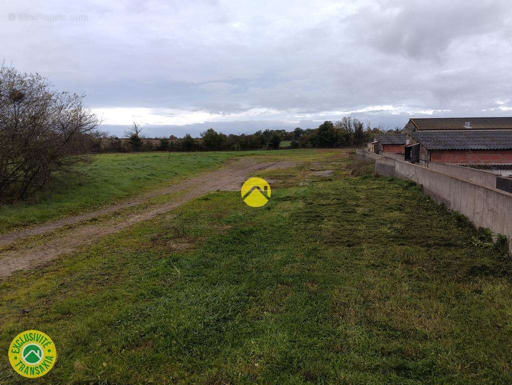 Commerce à LURCY-LEVIS