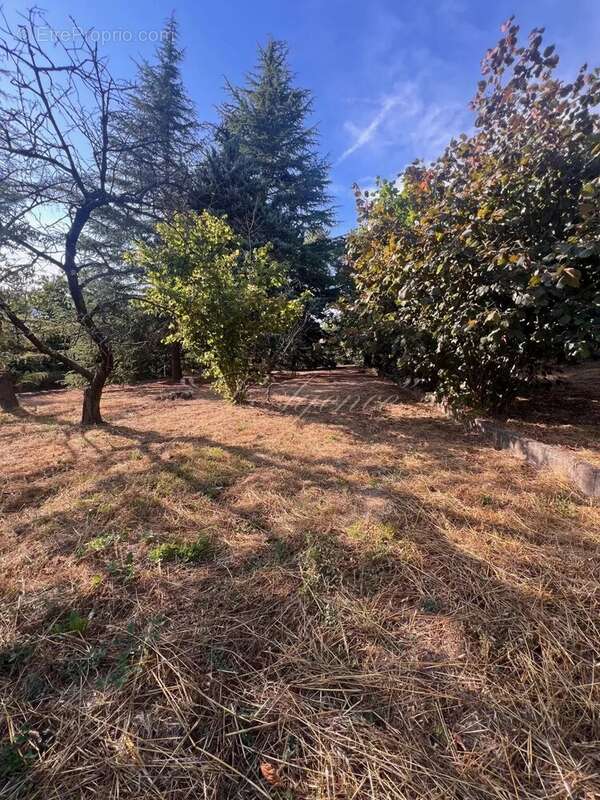 Terrain constructible berre les alpes - photo 6