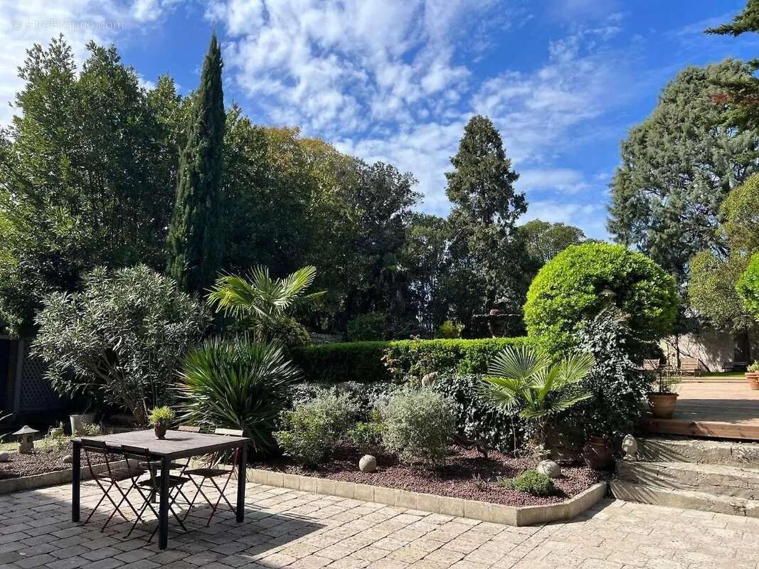 Magnifique Maison de Maître et trois appartements – Castelnaudary - photo 3