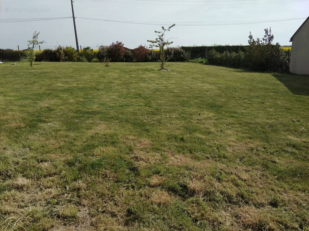 Terrain à MAINTENON