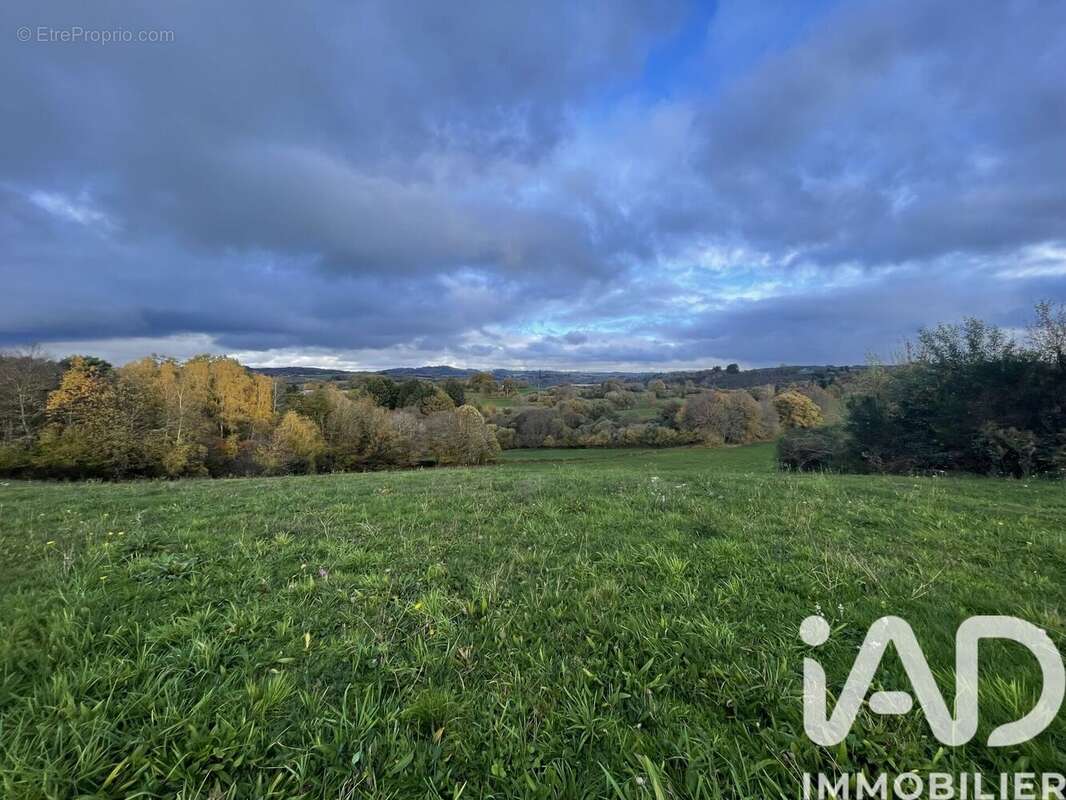 Terrain 53431 m² à Neuvic-Entier  - photo 2