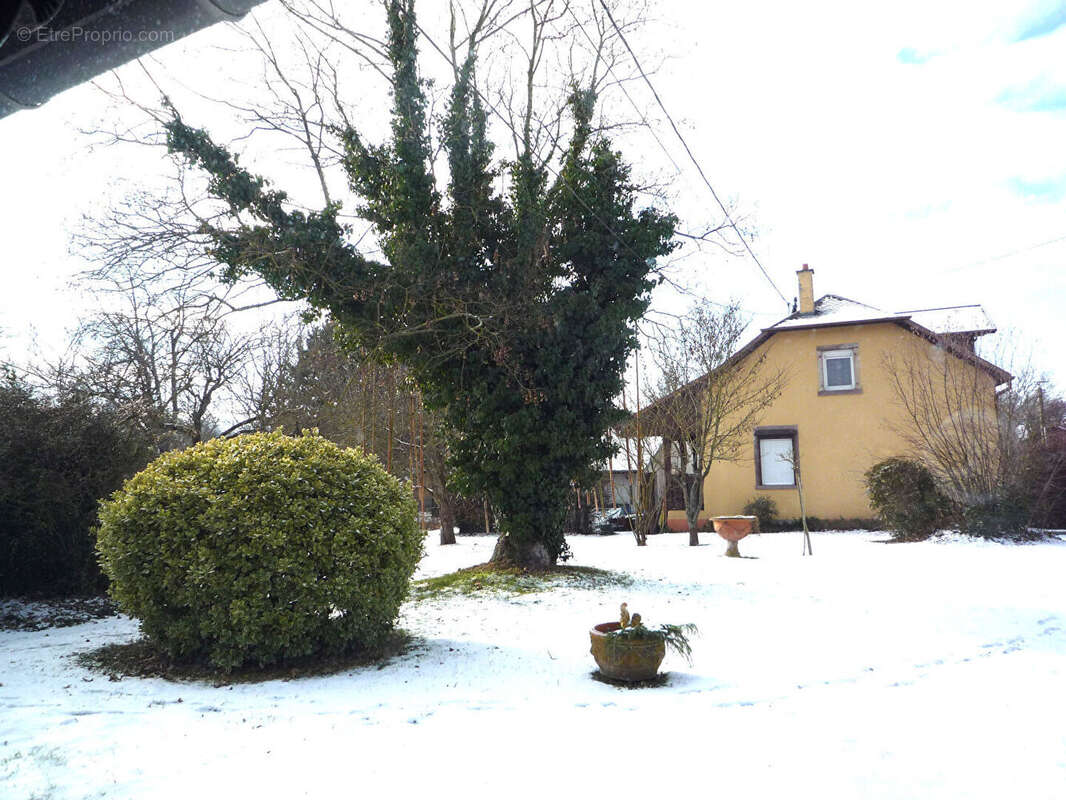 Maison à MORSCHWILLER-LE-BAS