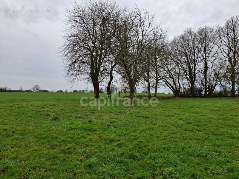 Maison à vendre 5 pièces  (50) - photo 5