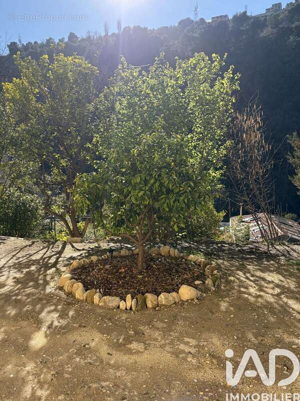 Photo 3 - Appartement à NICE