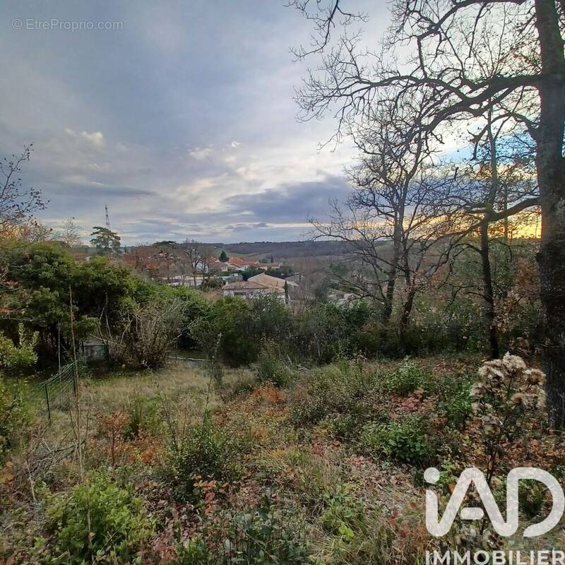 Photo 1 - Terrain à MONTRABE