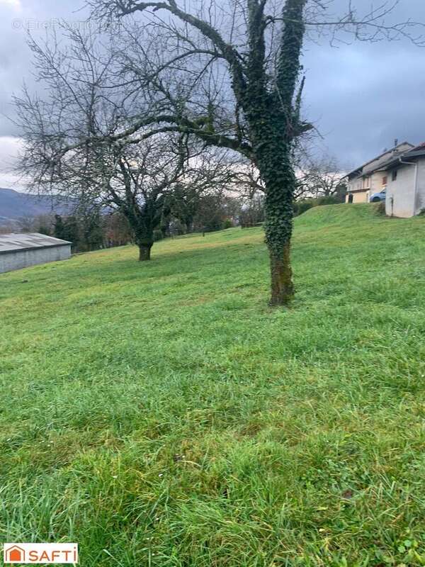 Photo 3 - Terrain à ANGLEFORT