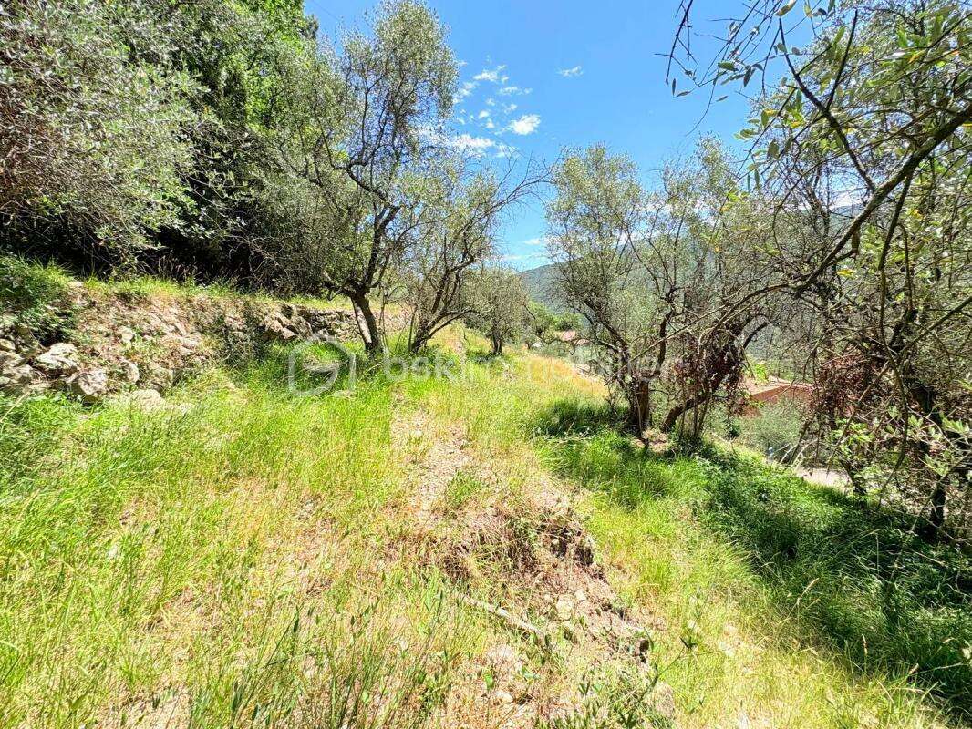  Terrain constructible – Pierrefeu (06910)  - photo 3